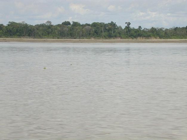 Amazonas