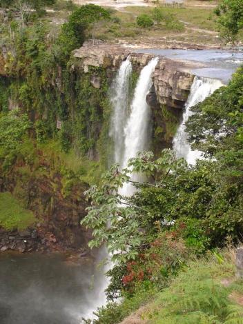 Boa constrictor Habitat Venezuela - Gran Sabana