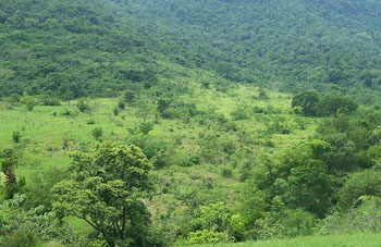 Habitat Fotos - Paraguay