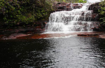 Boa constrictor Habitat Venezuela - Gran Sabana